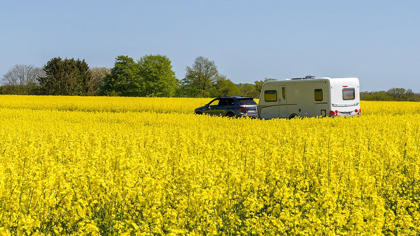 Wohnwagen und Rapswiese